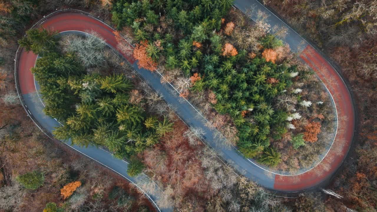 曲折的道路在五颜六色的秋天森林从无人机在捷克共和国视频素材