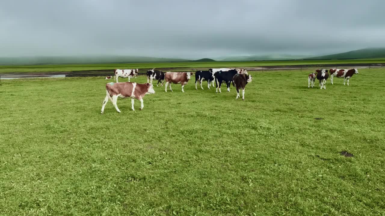 中国内蒙古草原风光视频素材