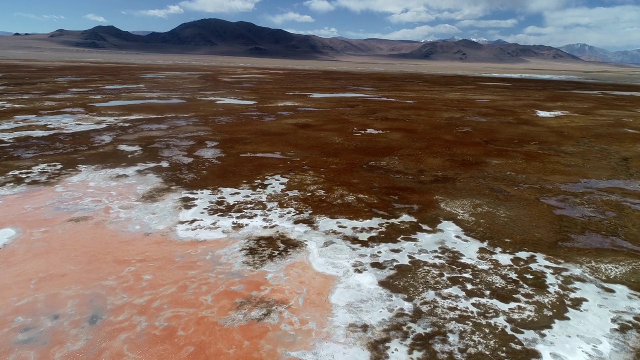 戈壁沙漠中的盐碱地视频下载