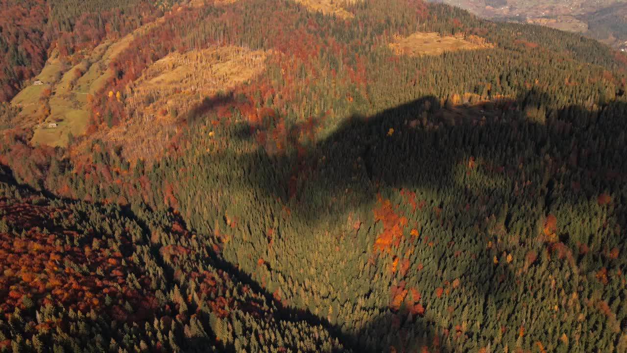 初秋森林鸟瞰图。混交林，绿色针叶林，落叶黄叶乔木。秋天的色彩乡村林地。无人机在大自然色彩斑斓的纹理上飞行。视频素材