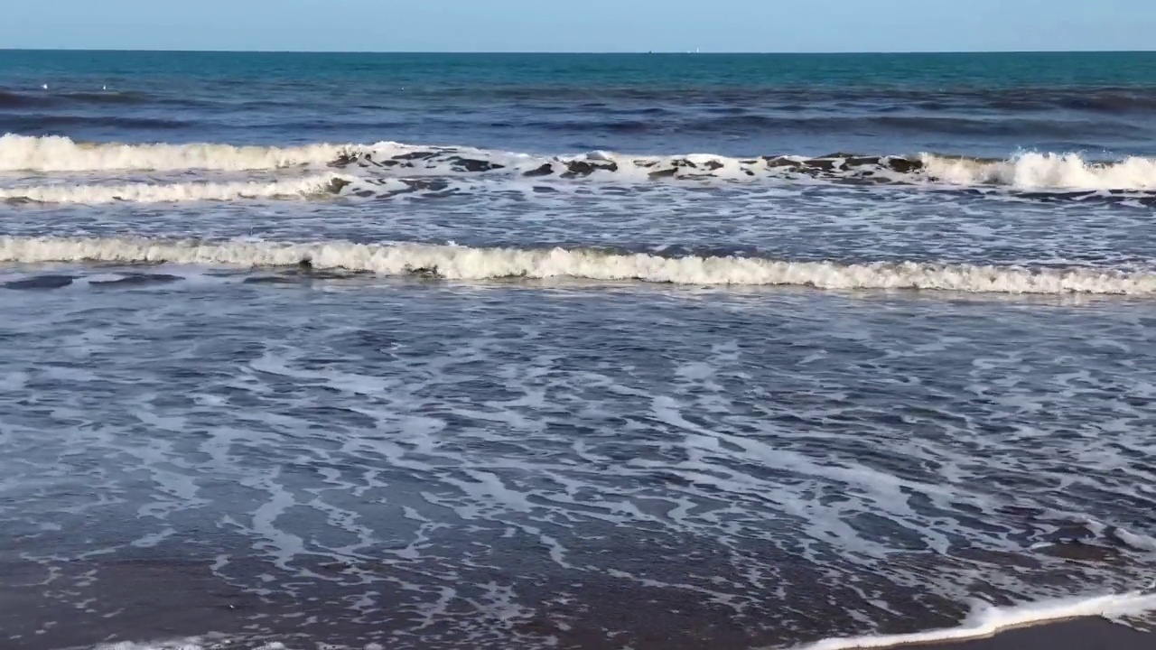 海滩上被海浪拖曳的海鸥视频素材