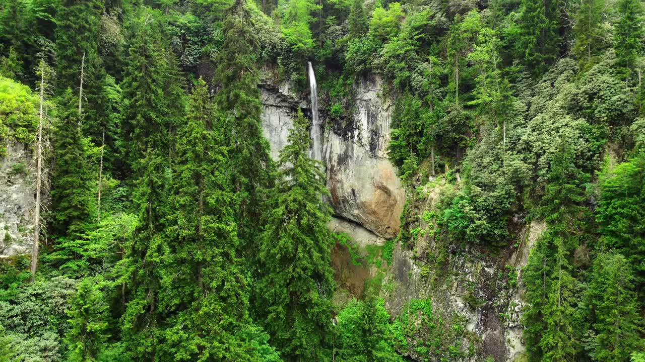 瀑布在山绿森林。神奇的晨光在树后照耀。生态洁净，原生态景观，鸟瞰视频素材