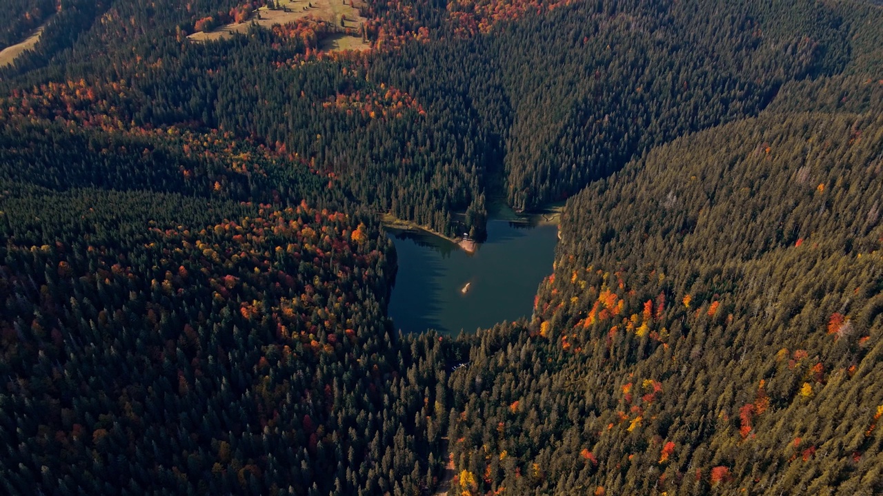 空中无人机镜头视图:在日出柔和的光线下，飞行在秋天的森林和著名的西尼维尔湖。喀尔巴阡山脉，乌克兰，欧洲。雄伟的景观。美丽的世界视频素材
