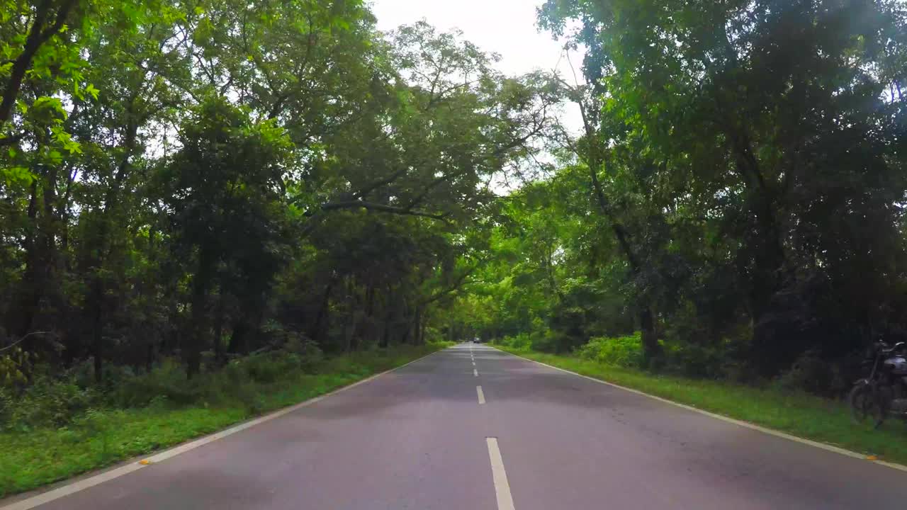 在印度穿过森林的道路视频素材