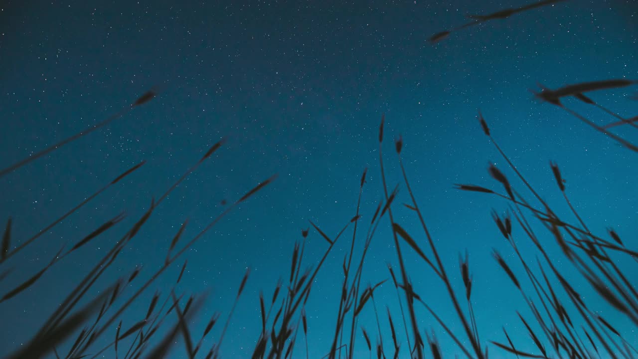 4K夜空星空与发光的星星和流星轨迹在绿色的年轻麦田在夏季农业季节。旋转背景时间推移，时间推移，时间推移。底视图视频素材