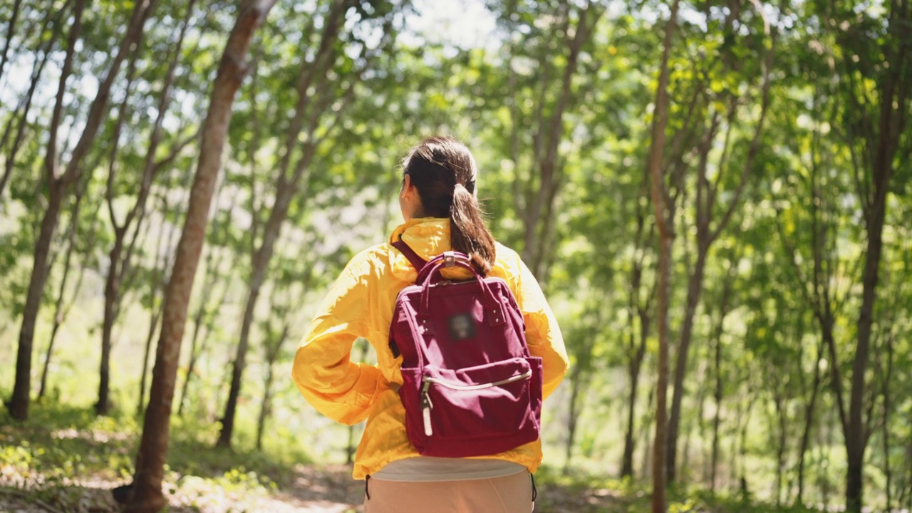 女人徒步旅行和探索森林地区视频素材