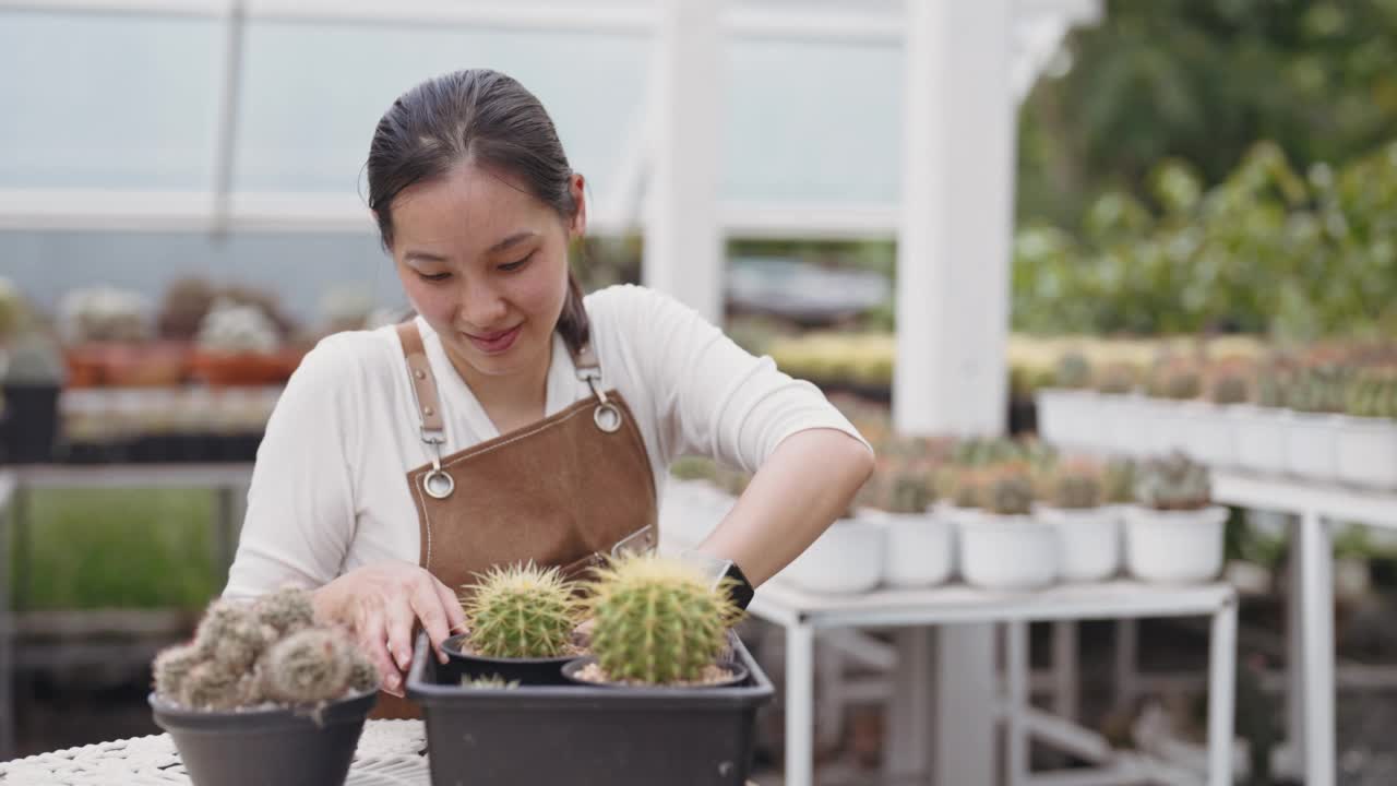 园丁在树店里照料她花园里的植物视频素材