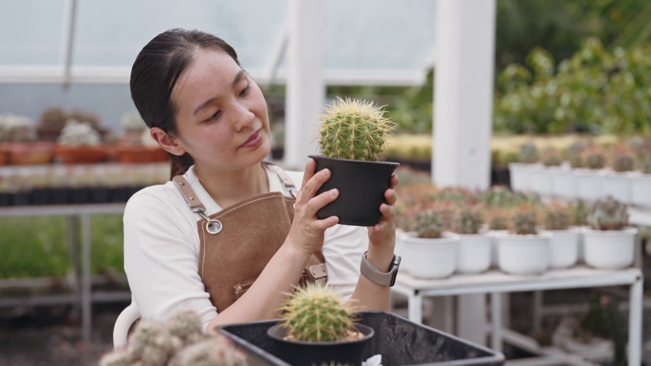 园丁在树店里照料她花园里的植物视频素材