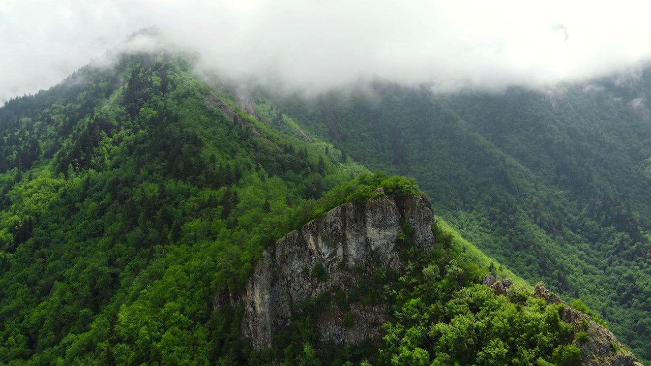 山间多雨，林间薄雾。4k鸟瞰景观，夏日山坡上的树木视频素材