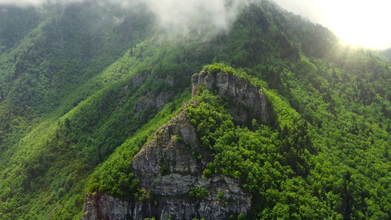 山间多雨，林间薄雾。4k鸟瞰景观，夏日山坡上的树木视频素材