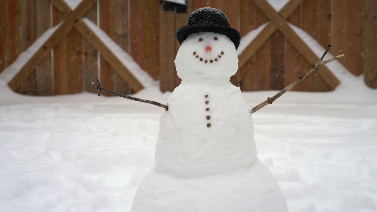 雪中的雪人视频素材