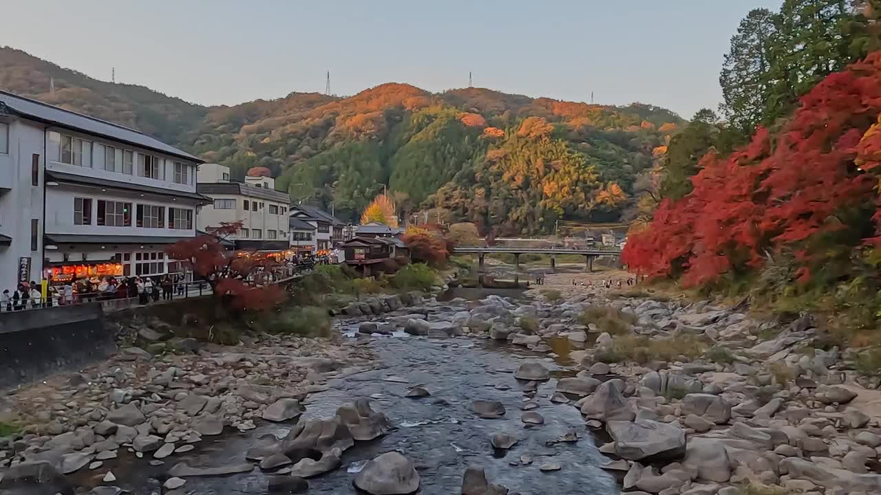 爱知省村庄的秋叶视频素材