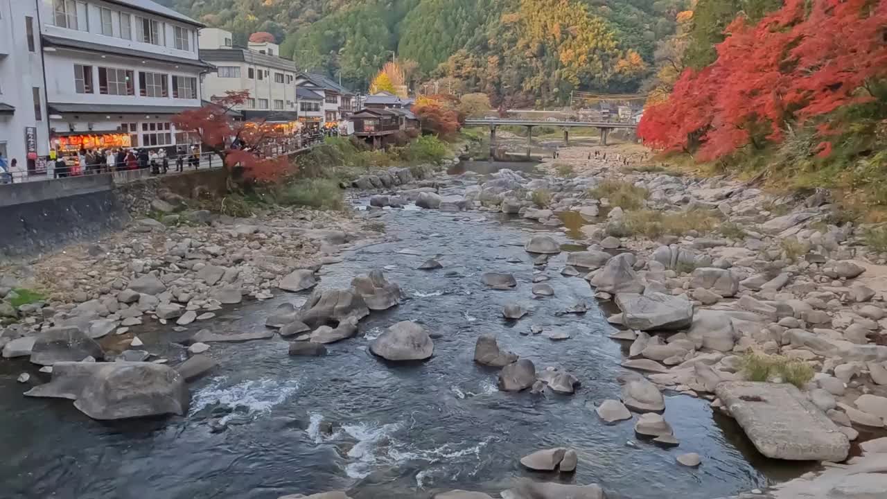 爱知省秋天的红叶视频素材