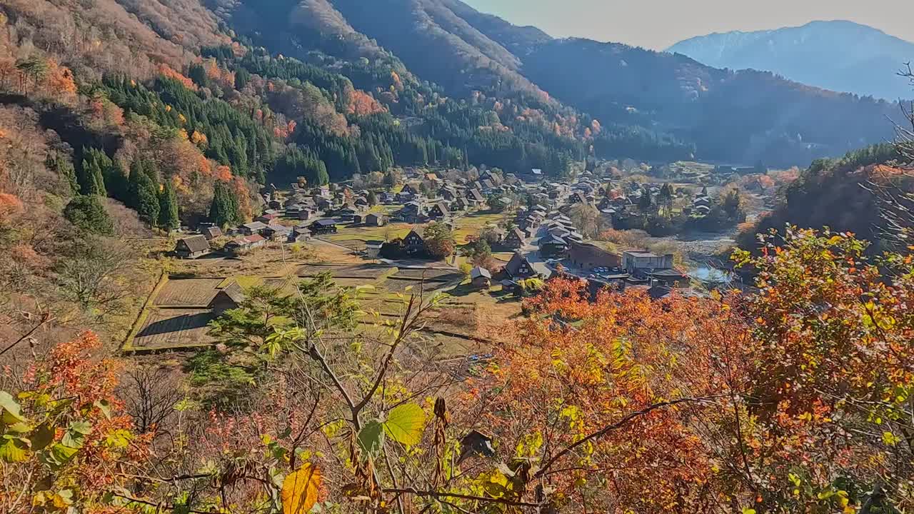 白川阁的秋叶视频素材