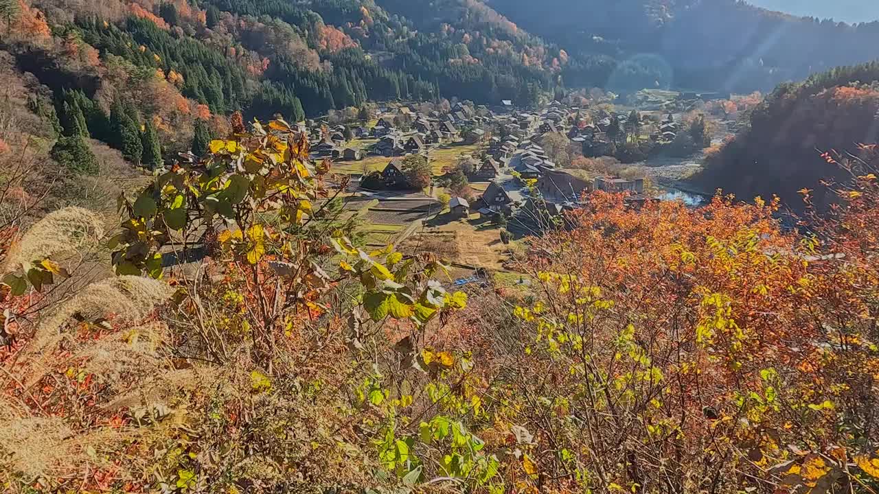 白川乡的秋叶色彩视频素材