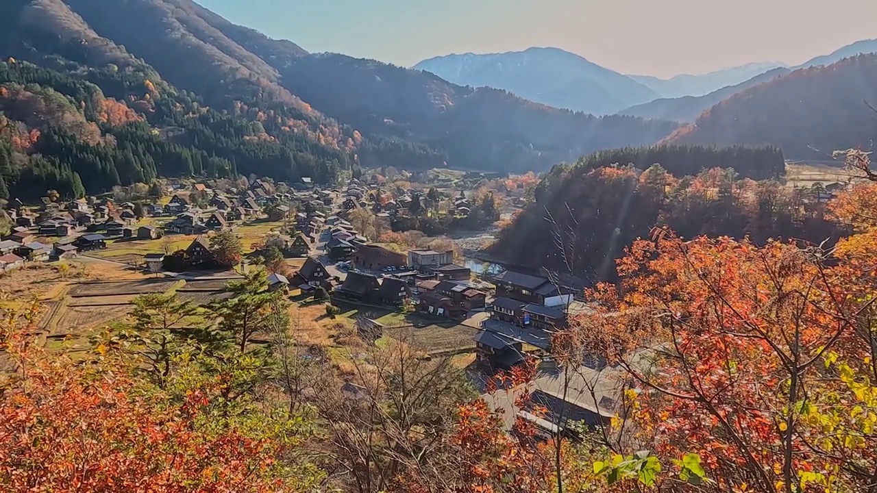 白川乡的秋叶视频素材