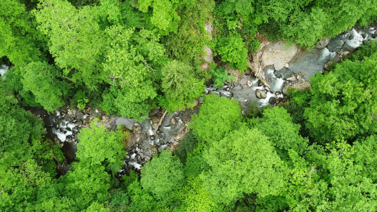 河流在森林自然清晨神奇的空中景观在4k，绿色的雨林树木视频素材