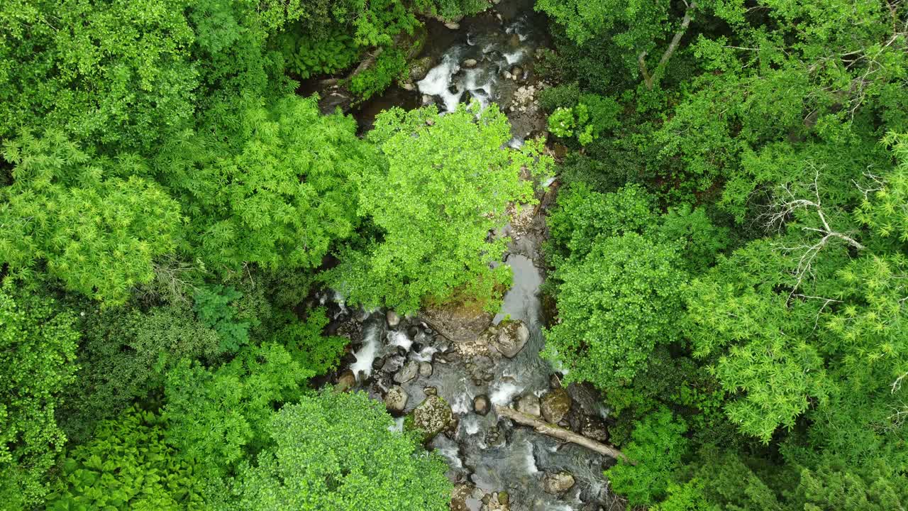 空中俯视河流在热带丛林绿色雨林。4K美丽的夏季景观。视频素材