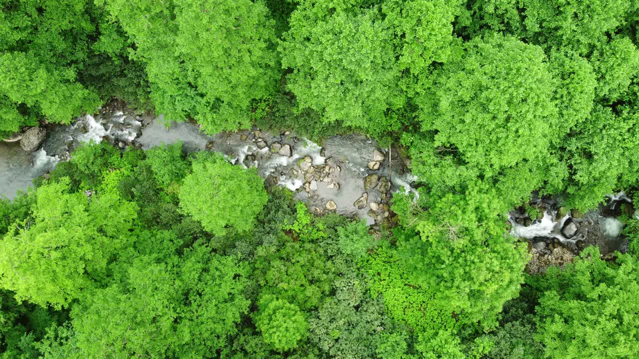 空中俯视河流在热带丛林绿色雨林。4K美丽的夏季景观。视频素材