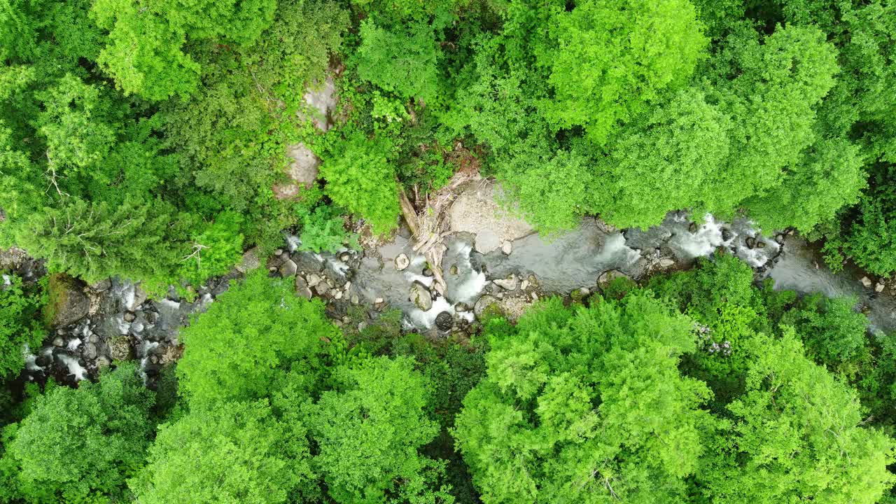 河流在森林自然清晨神奇的空中景观在4k，绿色的雨林树木视频素材