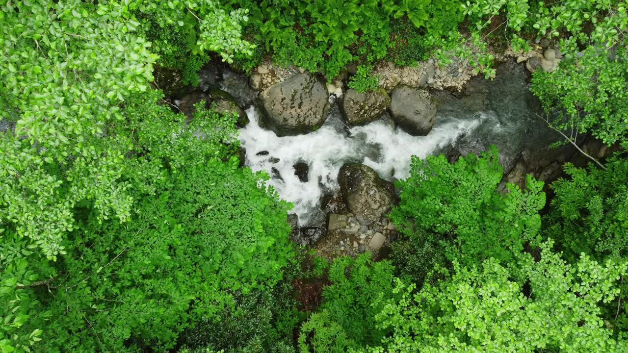 河流在森林自然清晨神奇的空中景观在4k，绿色的雨林树木视频素材