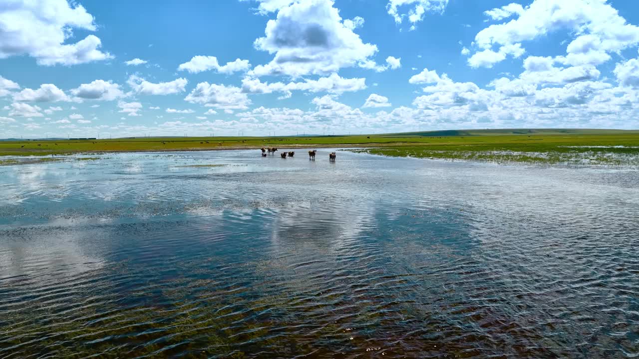 中国内蒙古草原湿地平行线视频素材