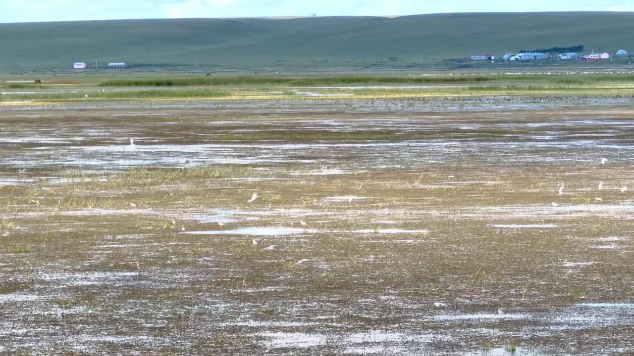 中国内蒙古草原湿地平行线视频下载