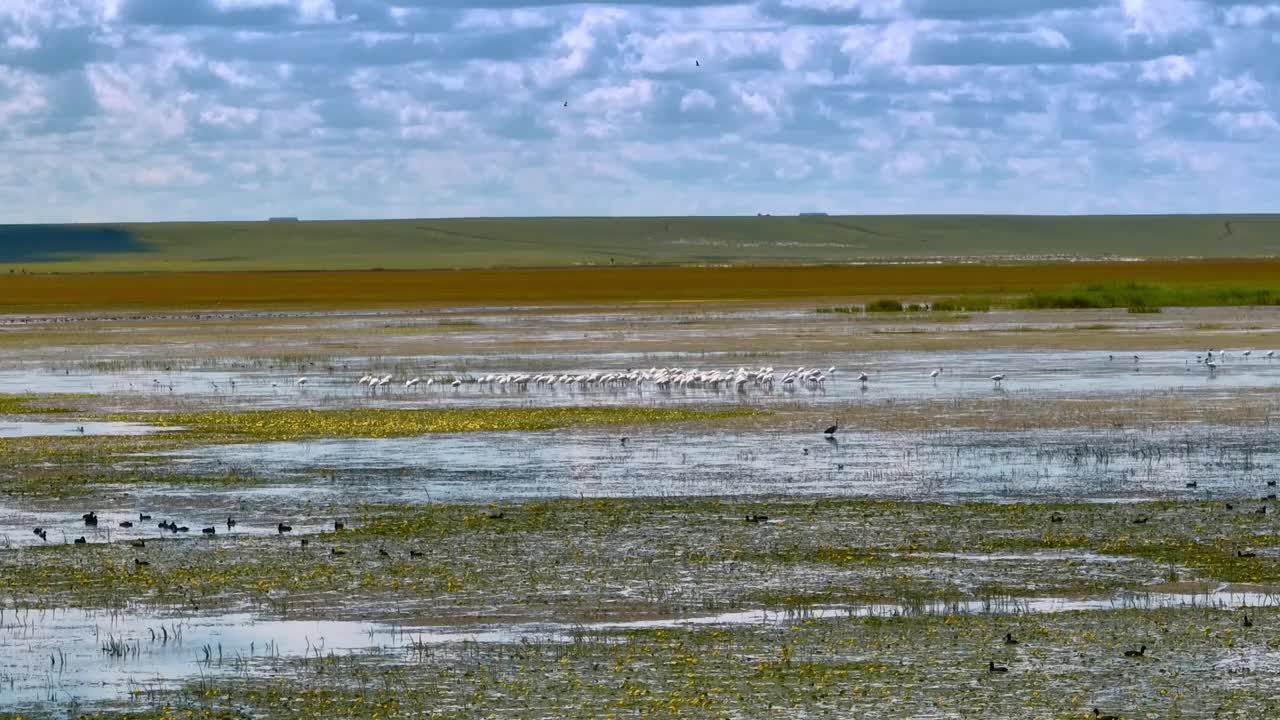 中国内蒙古草原湿地平行线视频下载