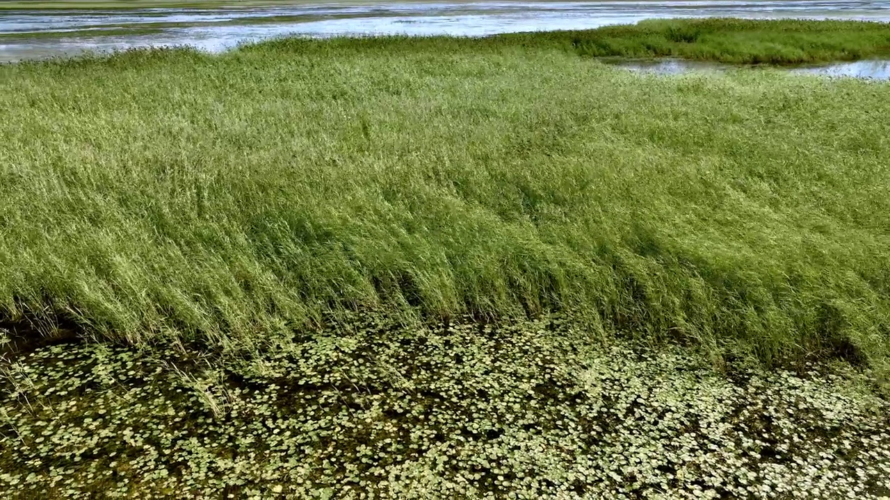 中国内蒙古草原湿地平行线视频素材