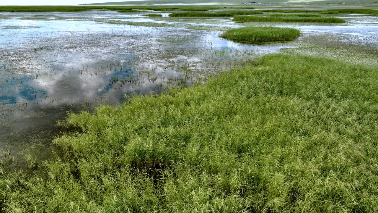 中国内蒙古草原湿地平行线视频下载