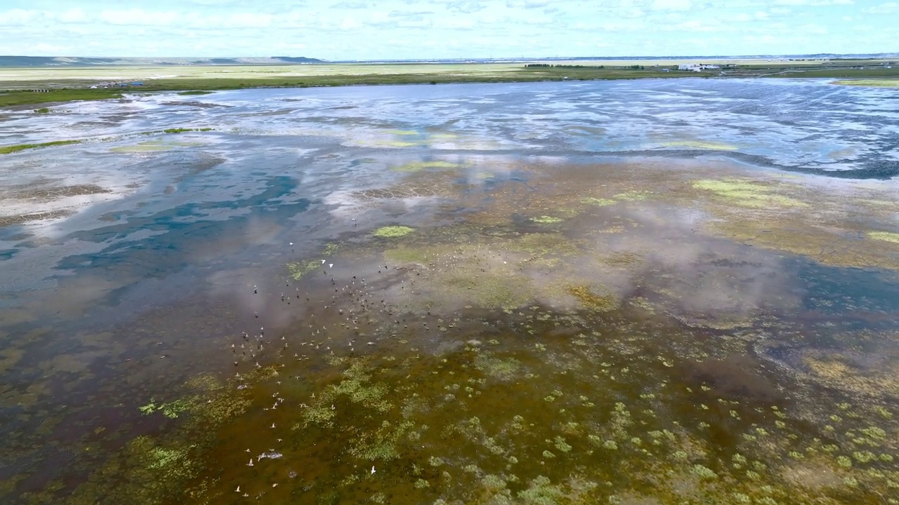 中国内蒙古草原湿地平行线视频素材