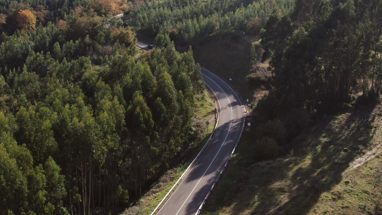 从上面看，森林道路上的汽车视频素材