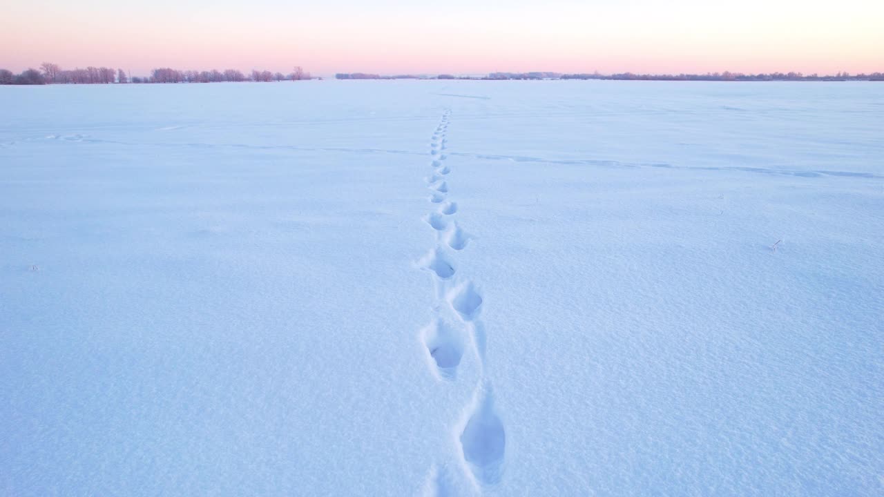 洁白的雪地上有人类的脚印视频素材