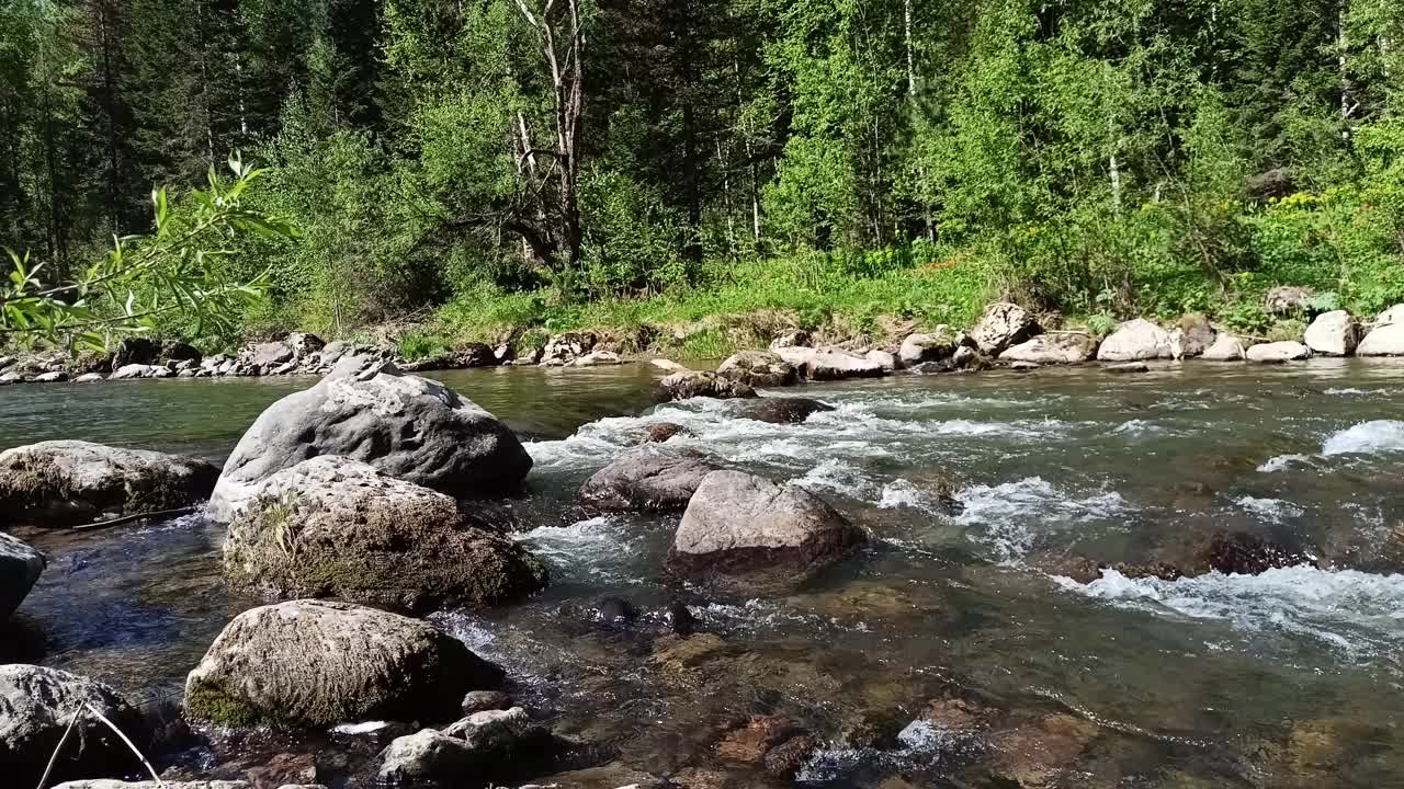 巨大的石头在美丽的山间河流的河床流过夏天的森林。视频素材