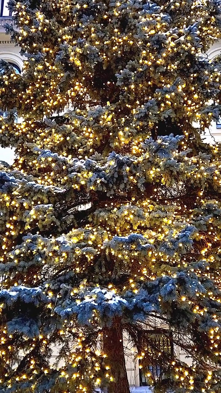 圣诞树上装饰着飘落的雪花。彩色散景灯。新年假期的金色背景。垂直视频。视频素材