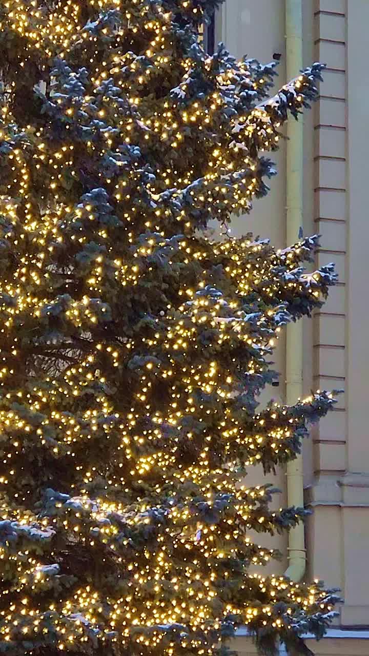 圣诞树上装饰着飘落的雪花。彩色散景灯。新年假期的金色背景。垂直视频。视频素材