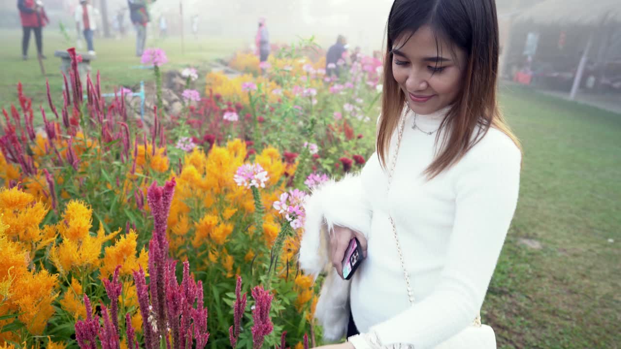 女人幸福在清晨与鲜花相伴视频素材