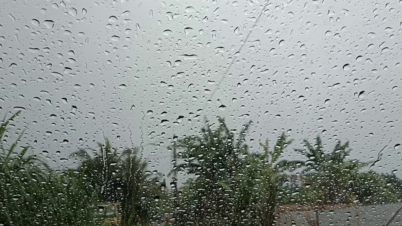 下雨了。在农村地区。可以看到村庄里的野生花园视频素材