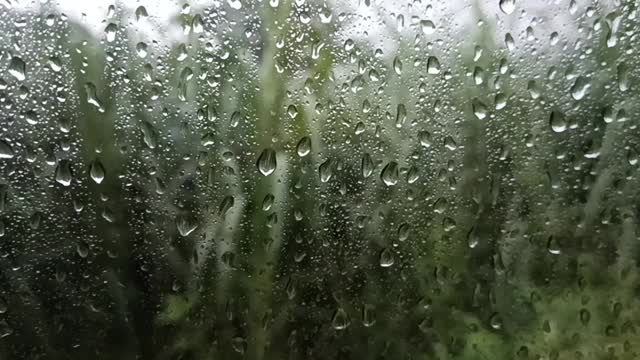 下雨了。在农村地区。可以看到村庄里的野生花园视频素材