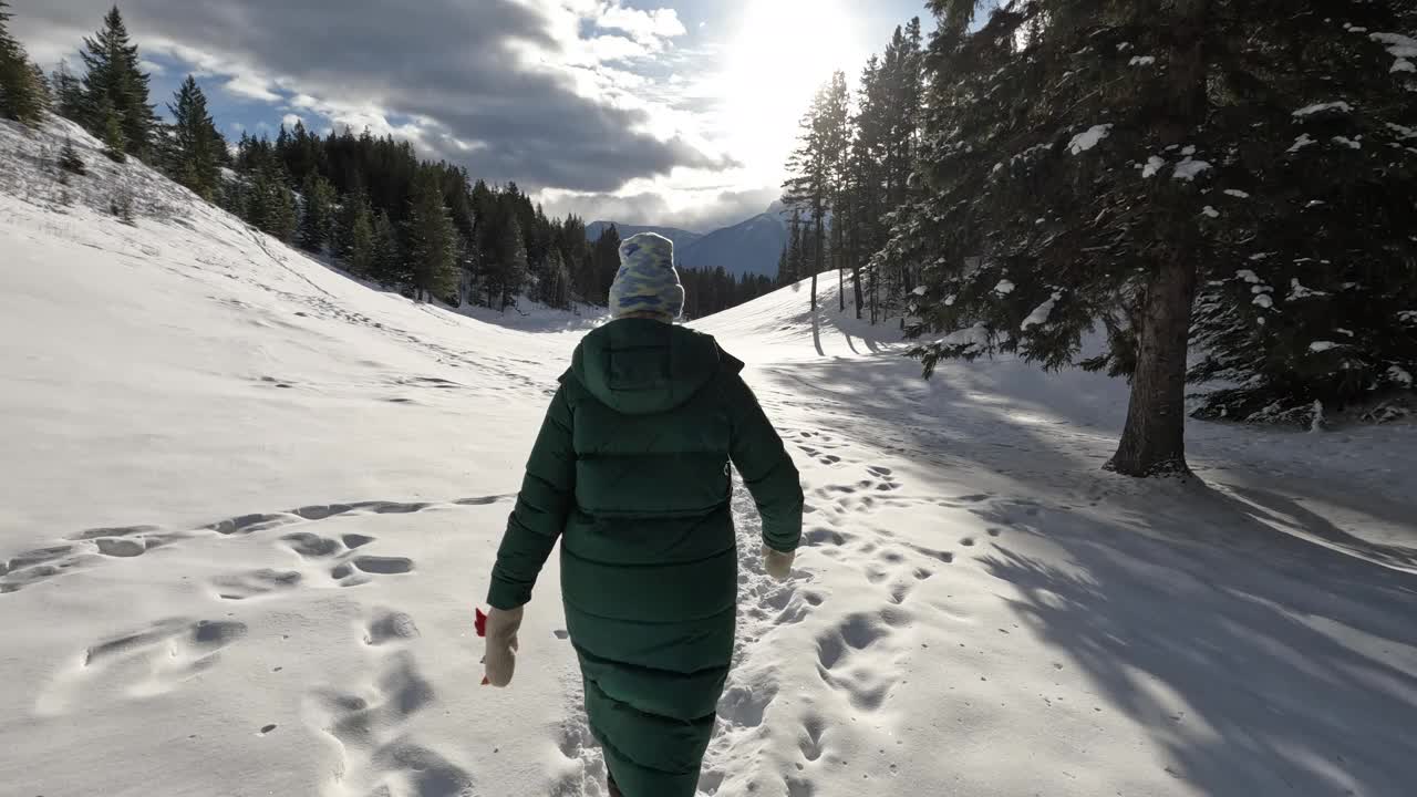 第一个透视视图行走在冬季景观的雪视频素材