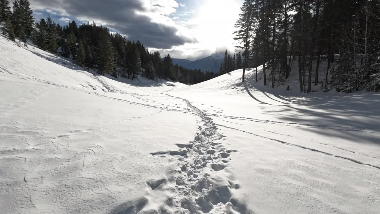 第一个透视视图行走在冬季景观的雪视频素材