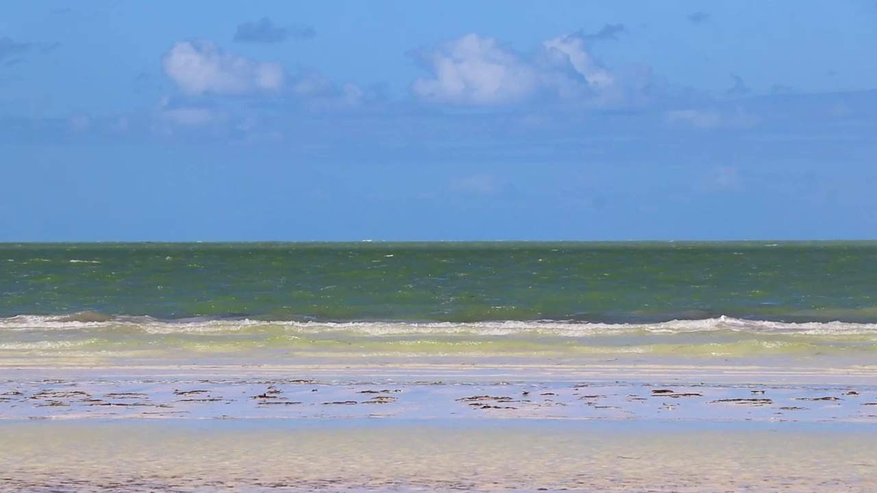 天然的Holbox岛沙滩沙洲全景碧绿的海水波墨西哥。视频素材