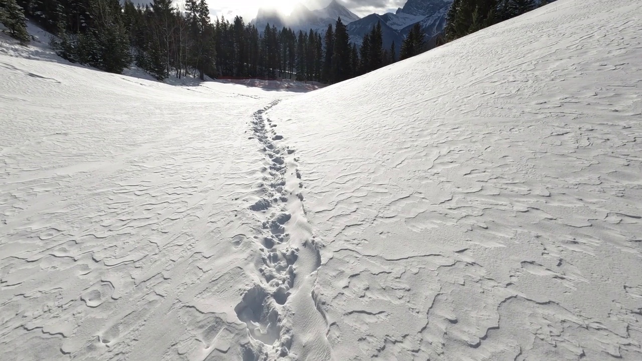 第一个透视视图行走在冬季景观的雪视频素材