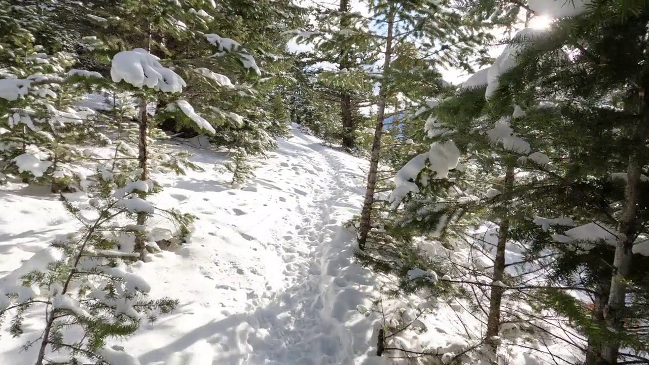 第一个透视视图行走在冬季景观的雪视频素材