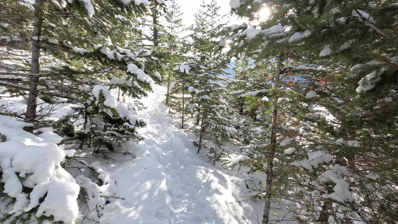 第一个透视视图行走在冬季景观的雪视频素材