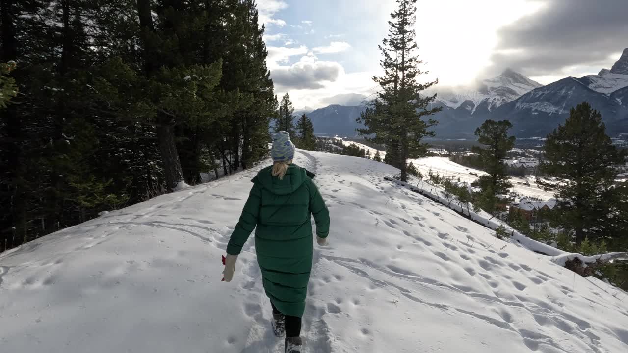 第一个视角的观点，作为妇女走过雪在冬季景观视频素材