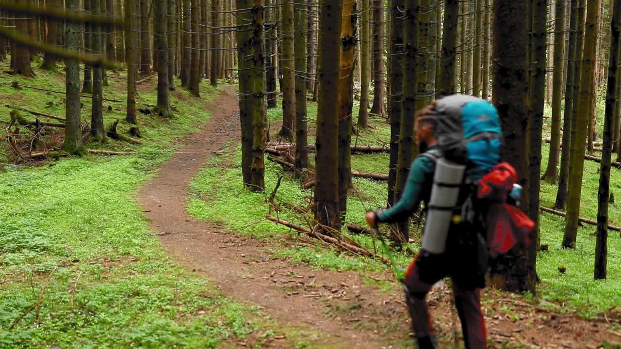 年轻的游客走在徒步旅行棒通过森林在HD的痕迹视频素材