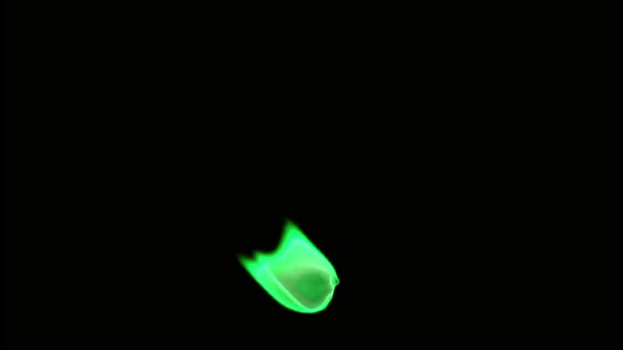 动画绿色蜡烛火焰隔离在黑屏上。视频素材