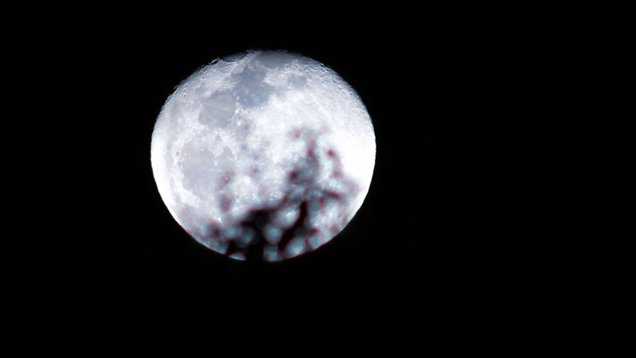 月亮在黑暗的夜空中，一棵树的剪影在风中移动视频素材