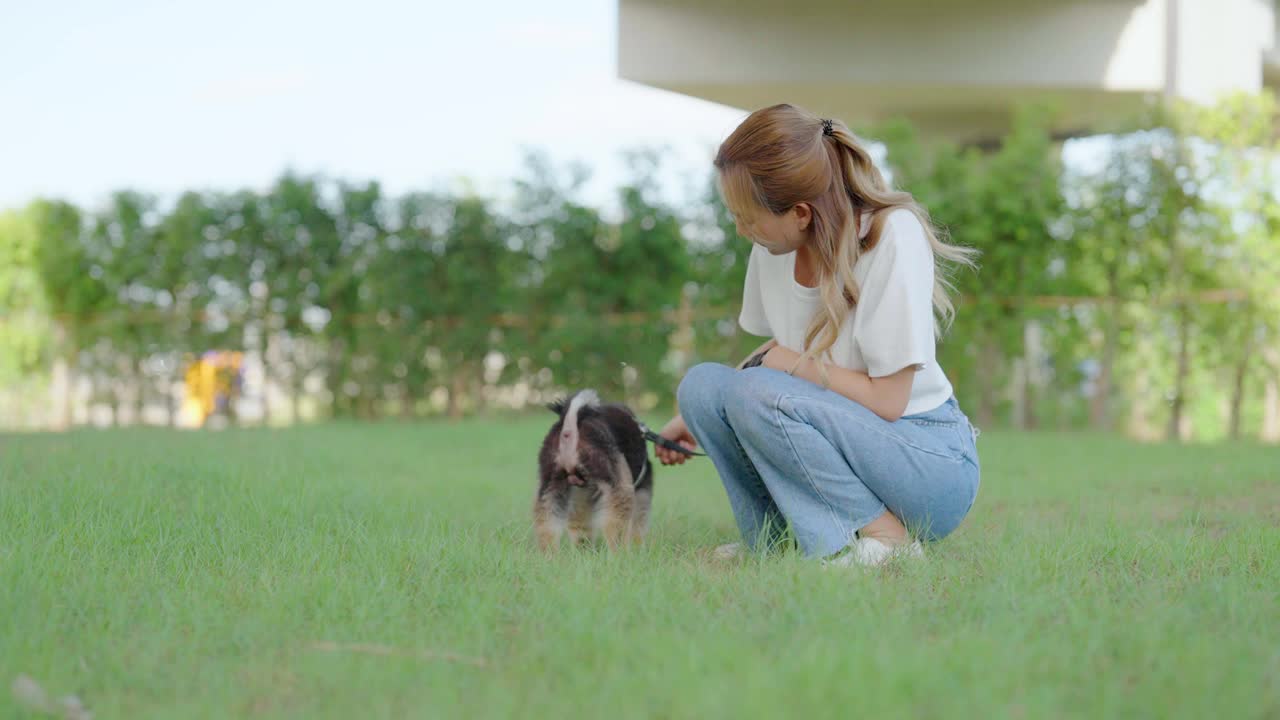 快乐的年轻亚洲女子玩和坐在草地上在公园与她的狗。宠物爱好者概念视频素材